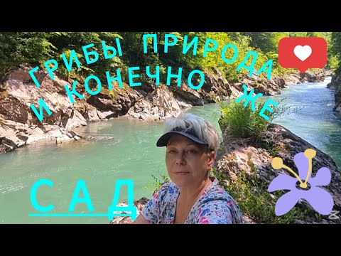 Видео: ГРИБЫ, ПРИРОДА И КОНЕЧНО ЖЕ САД.  МОЙ ЛЮБИМЫЙ САД💕💕💕.