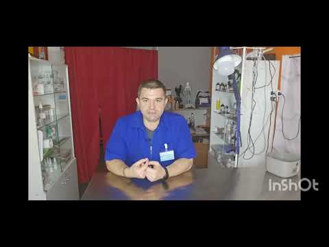 Видео: В каком возрасте лучше всего  забирать щенков 