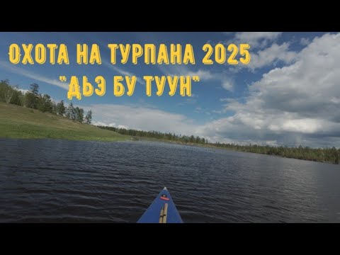 Видео: Охота на Турпана 2025 "дьэ бу туун"
