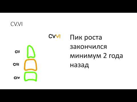 Видео: Пик роста, Фазы роста по Макнамару. Как определить пик роста?