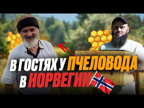 Видео: В гостях у друга Исы  Мёд, природа и братство