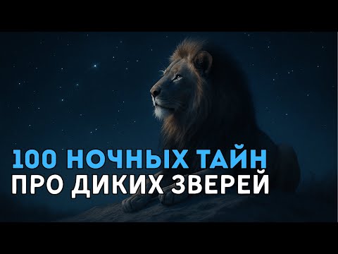 Видео: ИСТОРИИ НА НОЧЬ | 100 НОЧНЫХ ТАЙН О ДИКИХ ЗВЕРЯХ