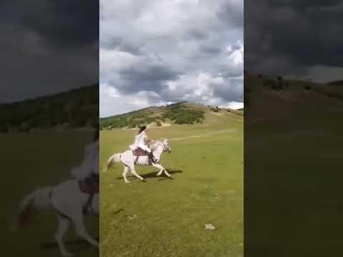 Видео: маро завлона карди охир.