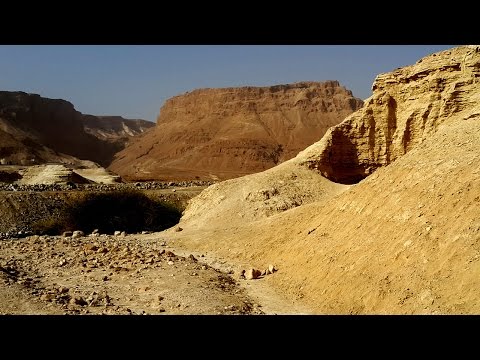 Видео: Ужас !! На берегу МЕРТВОГО МОРЯ мы нашли !