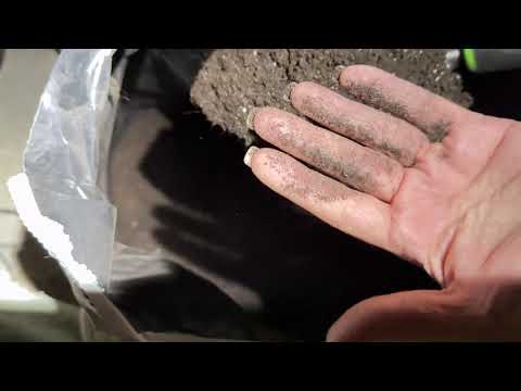 Видео: Обзор торфа в котором я выращиваю рассаду,Klasmann,DOMOFLOR, PEATFIELD