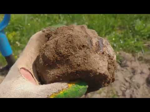 Видео: С разведкой по Удмуртии.#находки #metaldetecting #металл#поиск