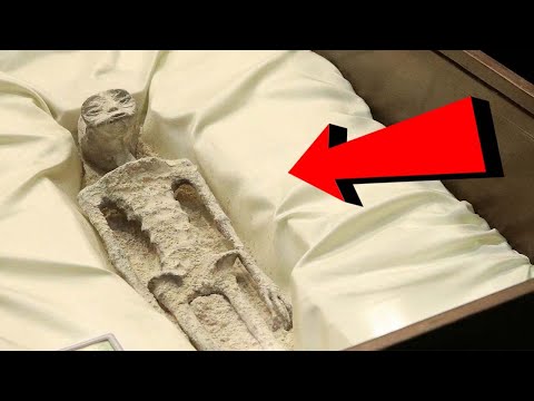 Видео: Энэ Бол Харийн Биет Биш!