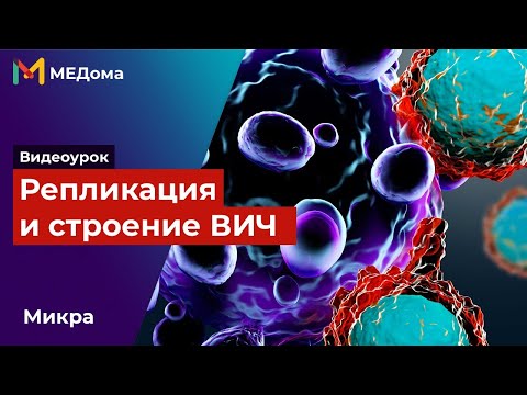 Видео: Репликация вич / Жизненный цикл вируса иммунодефицита человека (ВИЧ) / микробиология / USMLE step 1