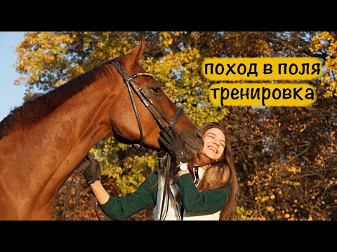 Видео: ОСЕННИЙ ДЕНЬ С МОЕЙ ЛОШАДЬЮ 🍁 ПОХОД в ПОЛЯ