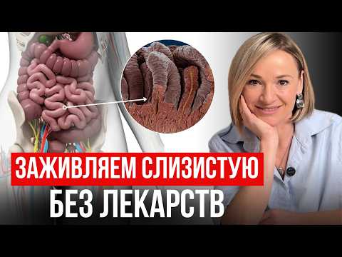 Видео: Не игнорируй ЭТО после 35 / Как в домашних условиях ЗАЖИВИТЬ дырявый кишечник и восстановить ЖКТ?