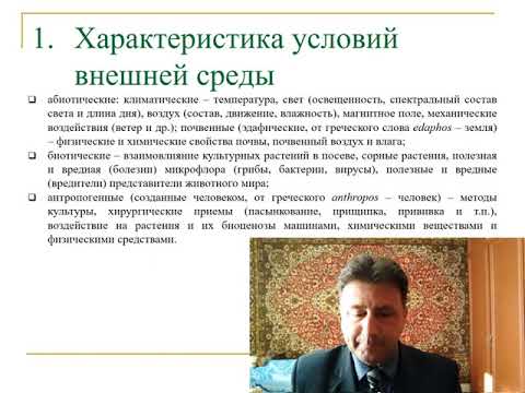 Видео: Основы овощеводства лекция 2