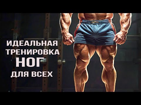 Видео: Идеальная тренировка ног для всех💪