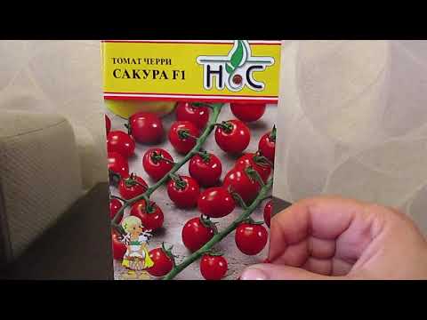 Видео: Лучшие гибриды томатов для открытого грунта.