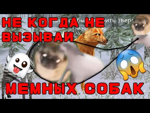 Видео: НЕ КОГДА НЕ ВЫЗЫВАЙ МЕМНЫХ СОБАК! / страшилки WildCraft