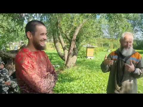 Видео: Приятная беседа о колодном пчеловодстве 🐝🐝🐝