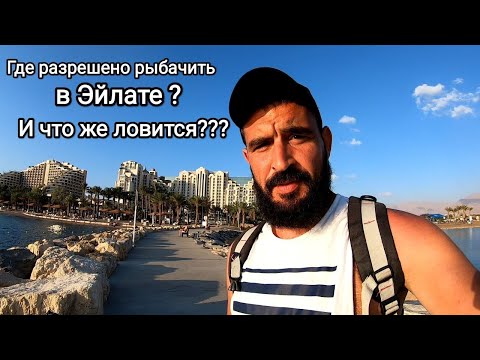 Видео: Эйлат, Рыбалка в красном море. Октябрь 2022 первый выход