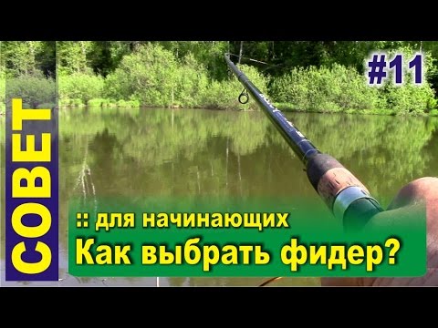 Видео: Как выбрать фидер? | Для начинающих