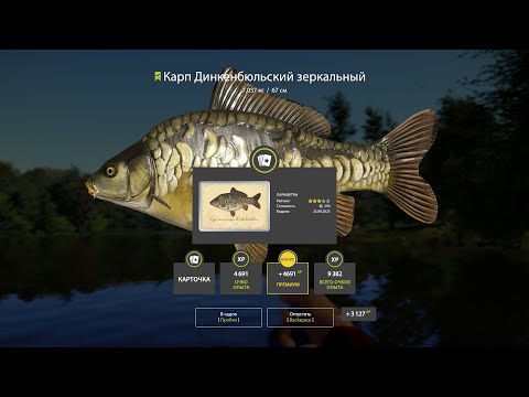 Видео: ВЕЧЕРНИЙ СТРИМ РУССКАЯ РЫБАЛКА 4 ! КОПИМ СЕРЕБРО НА КОЛДСТРИМЫ !