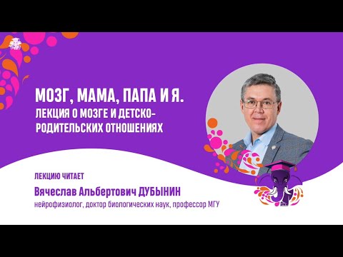 Видео: Вячеслав Дубынин. Мозг, мама, папа и я. Лекция о мозге и детско-родительских отношениях