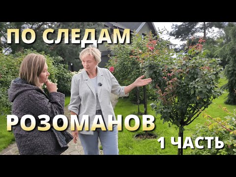 Видео: ОПЫТ РОЗОВОДОВ ПОДМОСКОВЬЯ. Чужого рая не бывает!