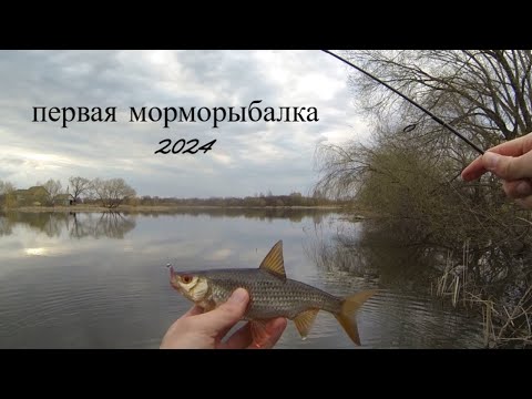 Видео: весенняя плотва на мормышку