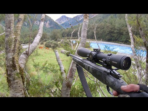 Видео: Залез на дерево, чтобы снять это! (Мы не могли поверить, что это произошло!)