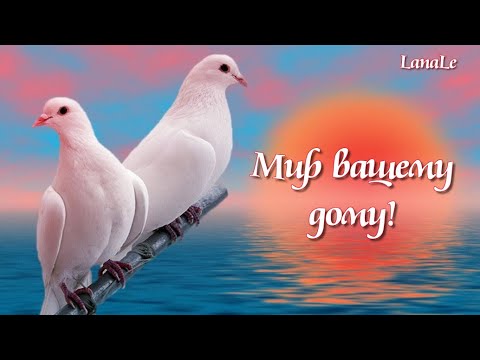 Видео: Мир вашему дому!