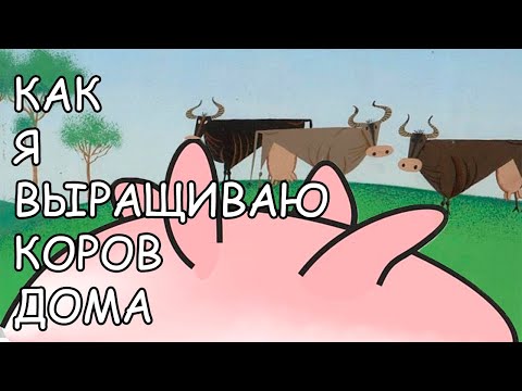 Видео: МОКРИЦЫ КОРОВКИ. Porcellio laevis 'Dairy Cow'. СОДЕРЖАНИЕ И РАЗВЕДЕНИЕ