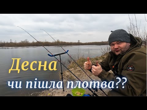 Видео: ЧИ ПІШЛА ПЛОТВА?? ЧИ КЛЮЄ ЩОСЬ НА ДЕСНІ. Фідерна риболовля.