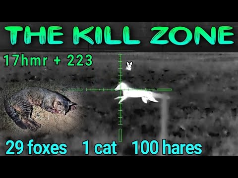 Видео: 29 лис • 100 зайцев • Зона поражения • 223 • 17hmr