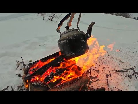 Видео: Хариусовые реки Севера. 3 дня в дикой тайге. Большой фильм.