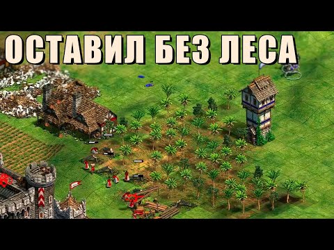 Видео: СТЫРИЛ СТРАТЕГИЮ | Винч пробует стратегию Татоха в Age of Empires 2