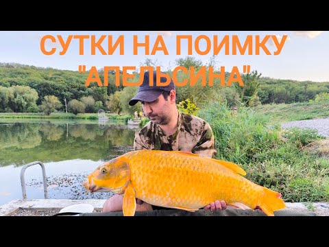 Видео: СУТКИ НА ВОДЕ И ВОТ РЕЗУЛЬТАТ
