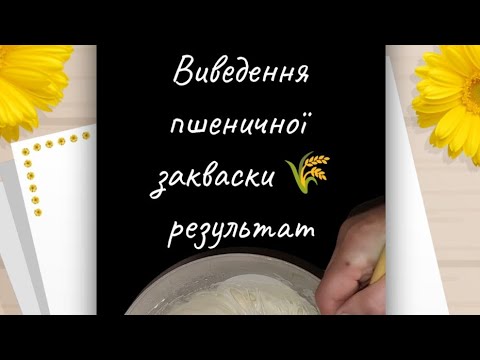 Видео: Покрокове/виведення/пшеничної/закваски /результат @imalyona171