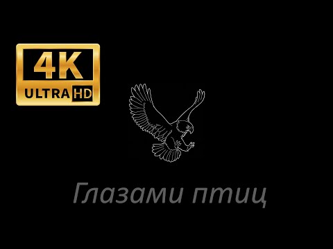 Видео: Релакс. часть 2.