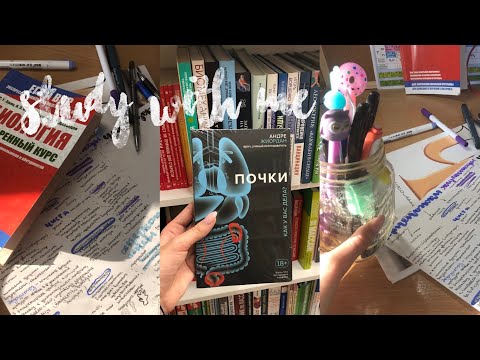Видео: Study with me//vlog//учись со мной