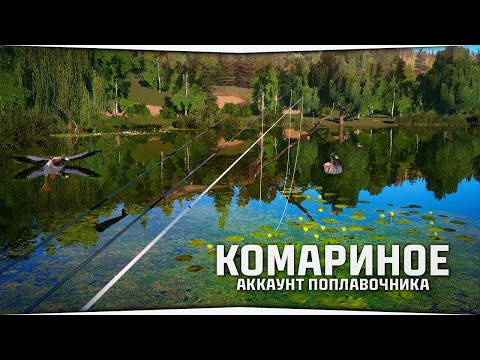 Видео: Трофейная рыбалка на Комарином озере • Поплавок для начинающих #10