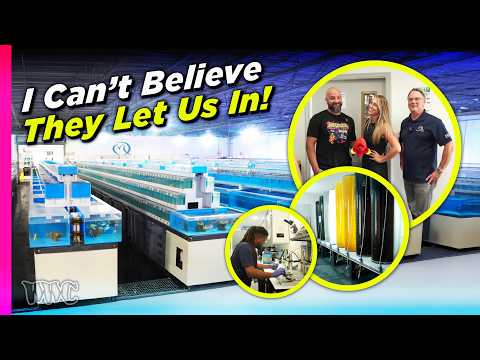 Видео: За кулисами Quality Marine | Эксклюзивный тур по объекту в Лос-Анджелесе