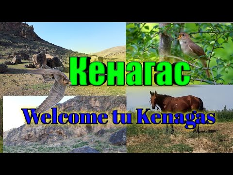 Видео: Кенагас  Гончи  Деваштич / Welcome tu Kenagas   (Мехробод)