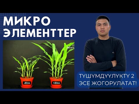 Видео: Микроэлементтер-түшүмдүүлүктү 2 эсе жогорулатат!