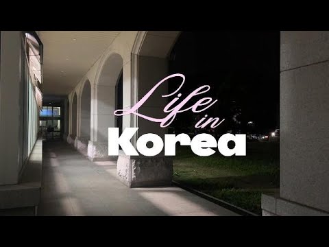 Видео: vlog📹 / учеба в корее🇰🇷