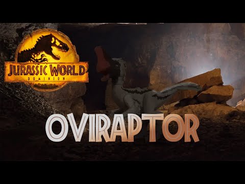 Видео: ОВИРАПТОР ЛЕГО КАСТОМ МИР ЮРСКОГО ПЕРИОДА | Jurassic World