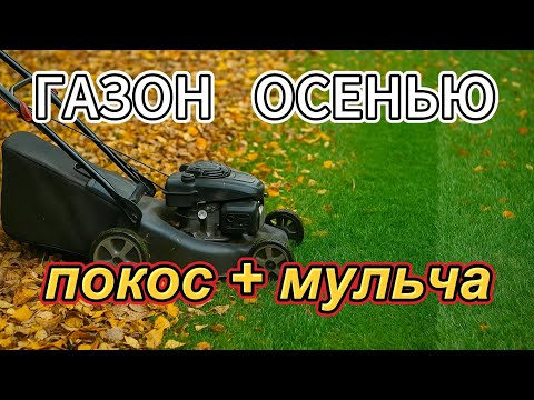 Видео: Газон. Покос + мульча осенью — ошибка? #газон #осень #сад