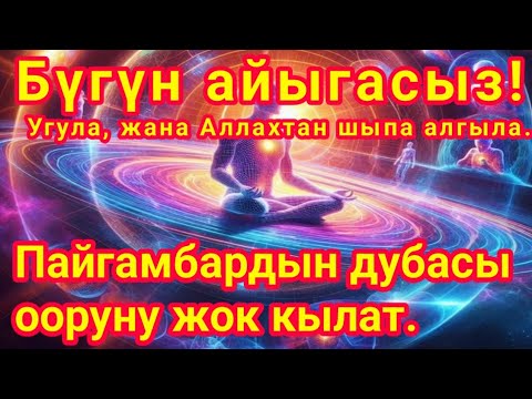 Видео: Айыктыруучу дуба