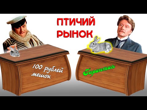Видео: Чем хороший кроликовод отличается от однодневки
