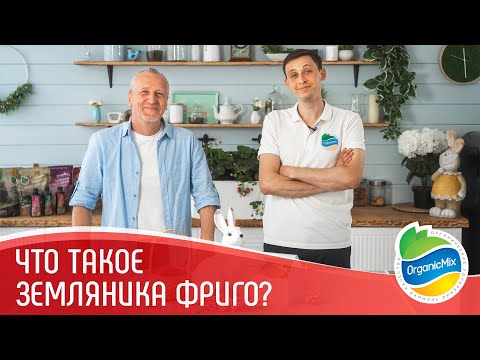 Видео: Рассада фриго/ Пасхальный выпуск от Органик Микс/ Клубника фриго/ Технология выращивания рассады