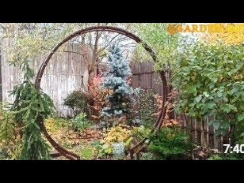 Видео: Арка "Омега" Арт объект и опора для Инверсы Установка в нашем саду