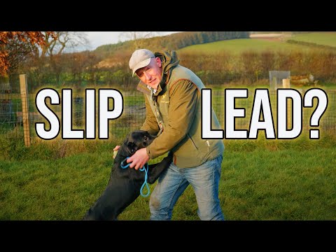 Видео: Как использовать скользящий провод