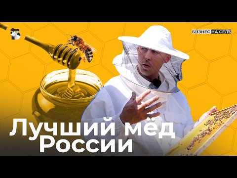 Видео: 2 миллиона с пасеки в сезон. Как выстроить успешный бизнес на мёде?