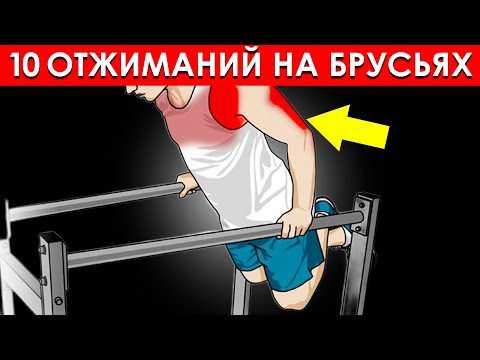 Видео: Как 10 Отжиманий на Брусьях Каждый День Полностью Трансформируют Ваше Тело